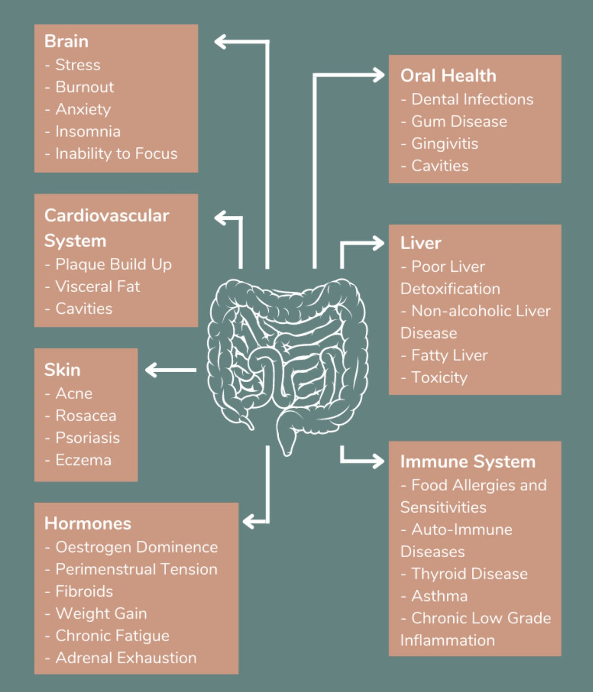 Functions of the gut