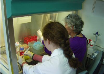 Growing mini-guts to study bowel disease