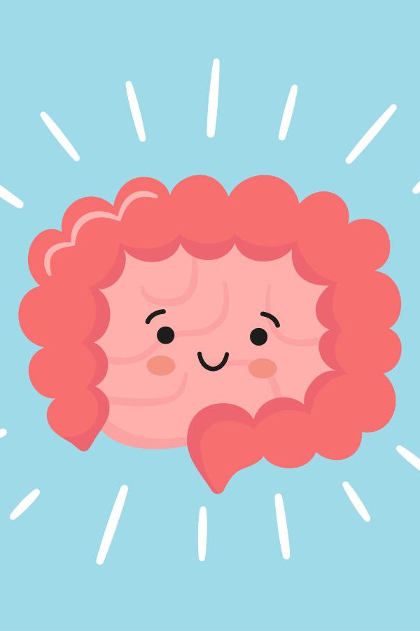 intestinehealthillustration