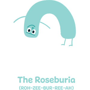 roz-sq